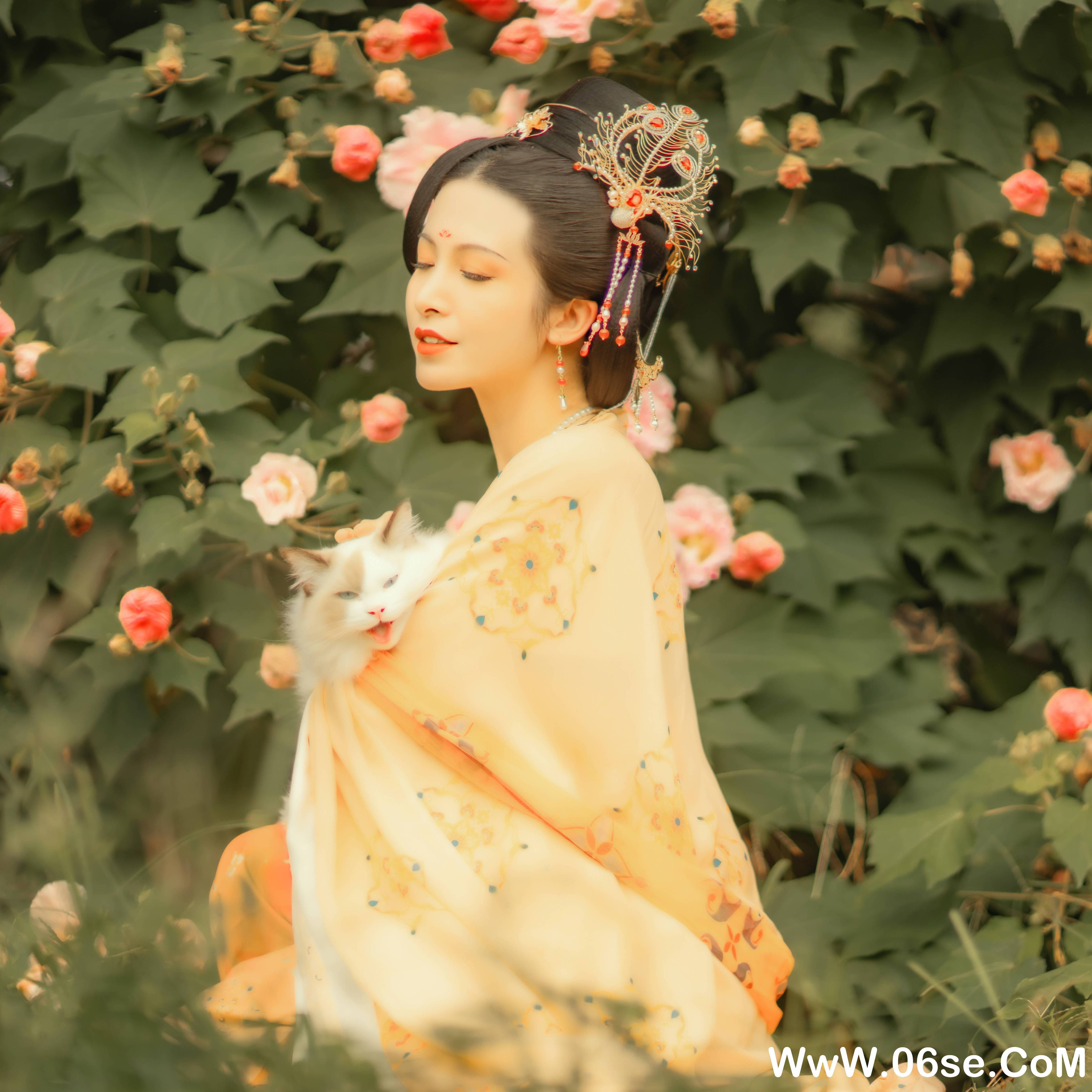 图片[12]-[YITUYU艺图语]2021.11.18 芙蓉词 修水凝花[37+1P／515MB]-六色网