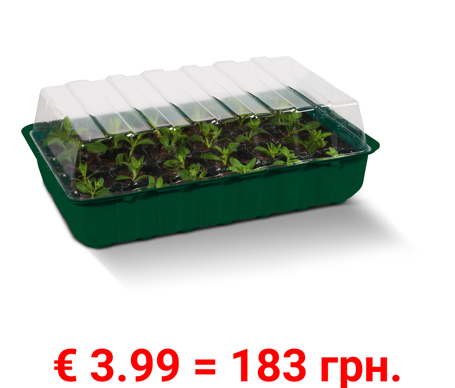 PARKSIDE® Anzuchtkasten-Set, 4-teilig