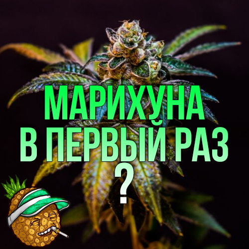 Приятно курить марихуана семена марихуаны красноярск купить