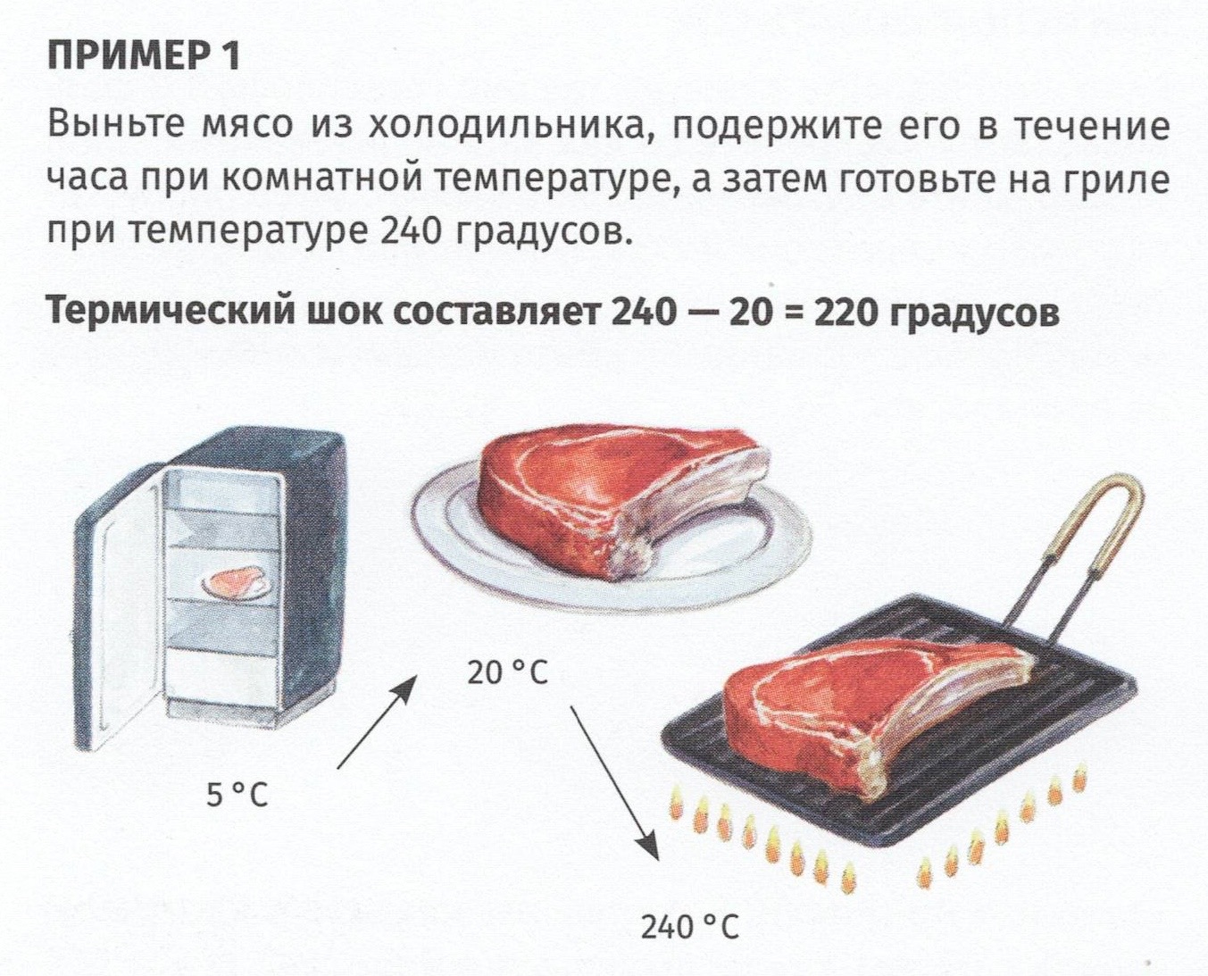 тесто на пиццу в холодильнике за 2 часа фото 104