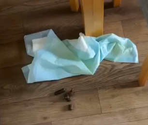 Perro cagando fuera de su zona