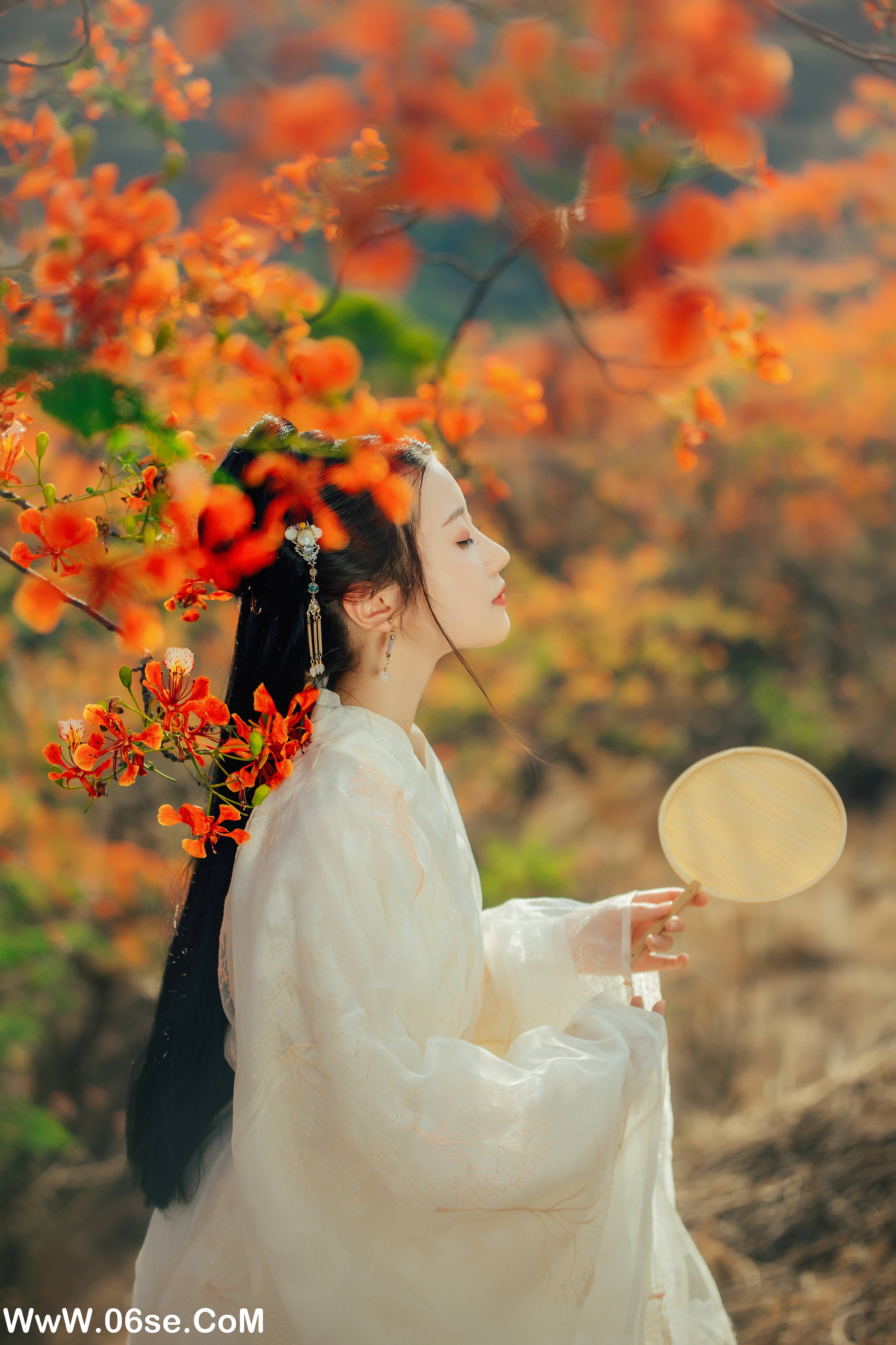 图片[13]-[YITUYU艺图语]2022.05.28 凤凰花开 粥米饭[26P-428.93MB]-六色网