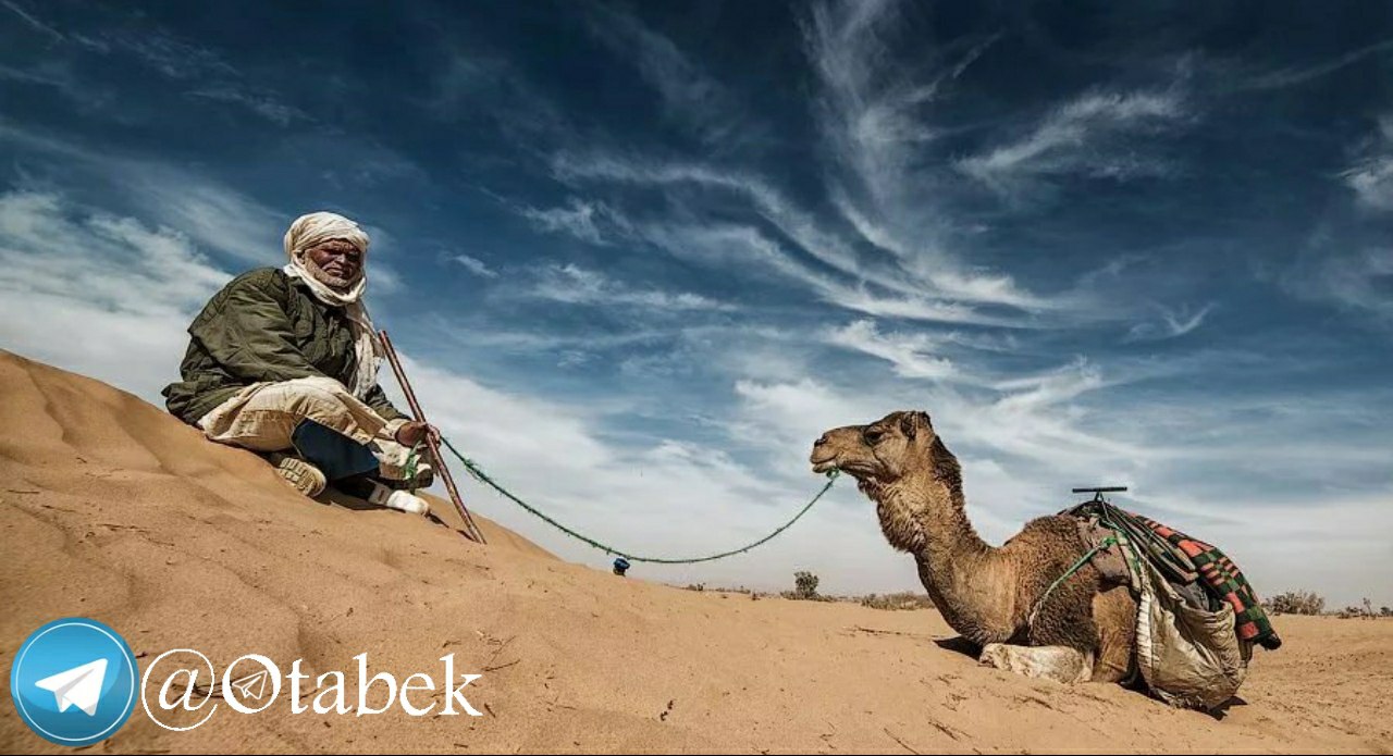 Пакистан песня караван идет. Караванщик Али. Караванщики в пустыне. Верблюд в пустыне с караванщиком. Караван людей.