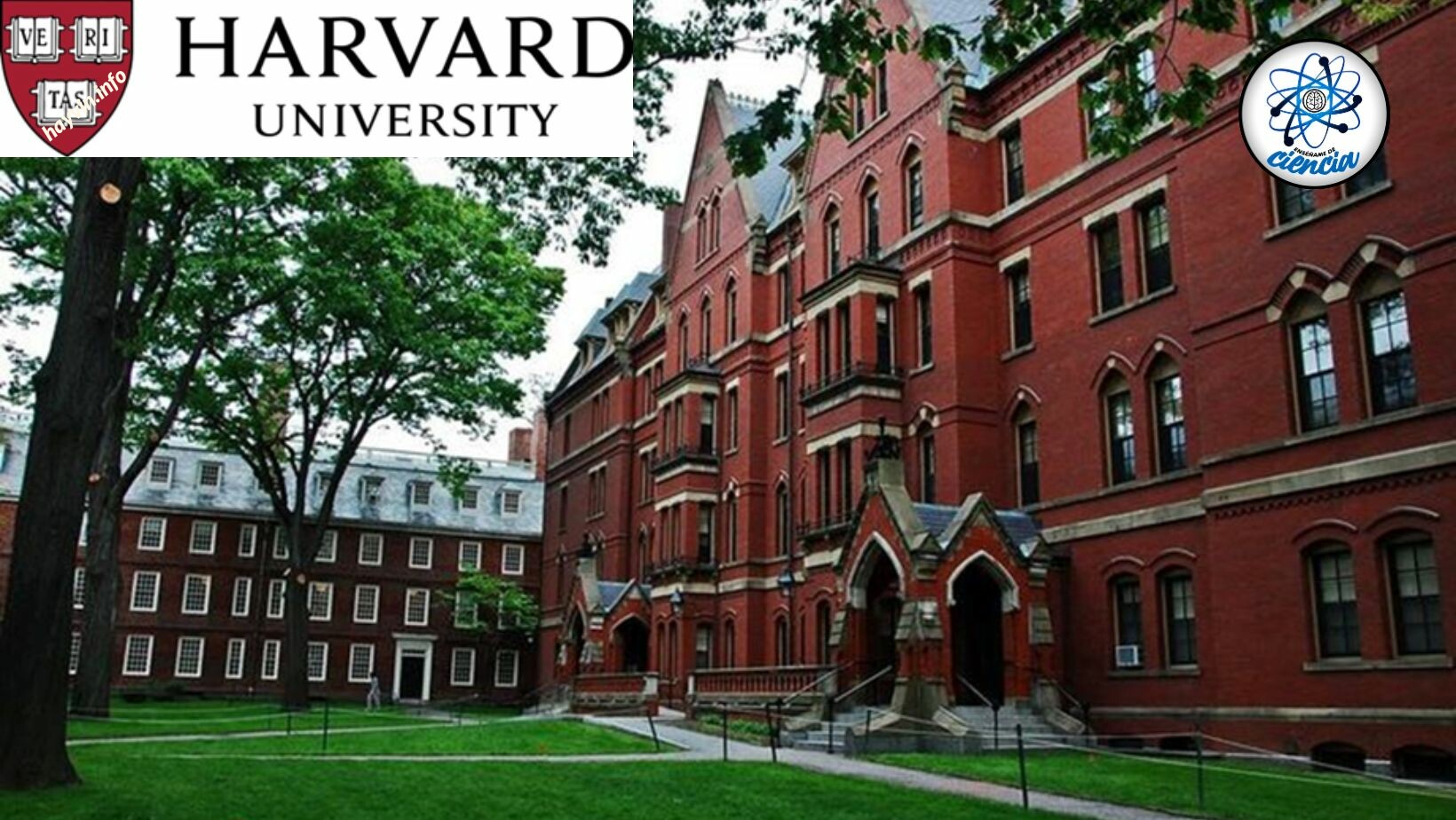 A Harvard Egyetem 3 adattudományi kurzust kínál, INGYENESEN és TANÚSÍTVÁNYAL