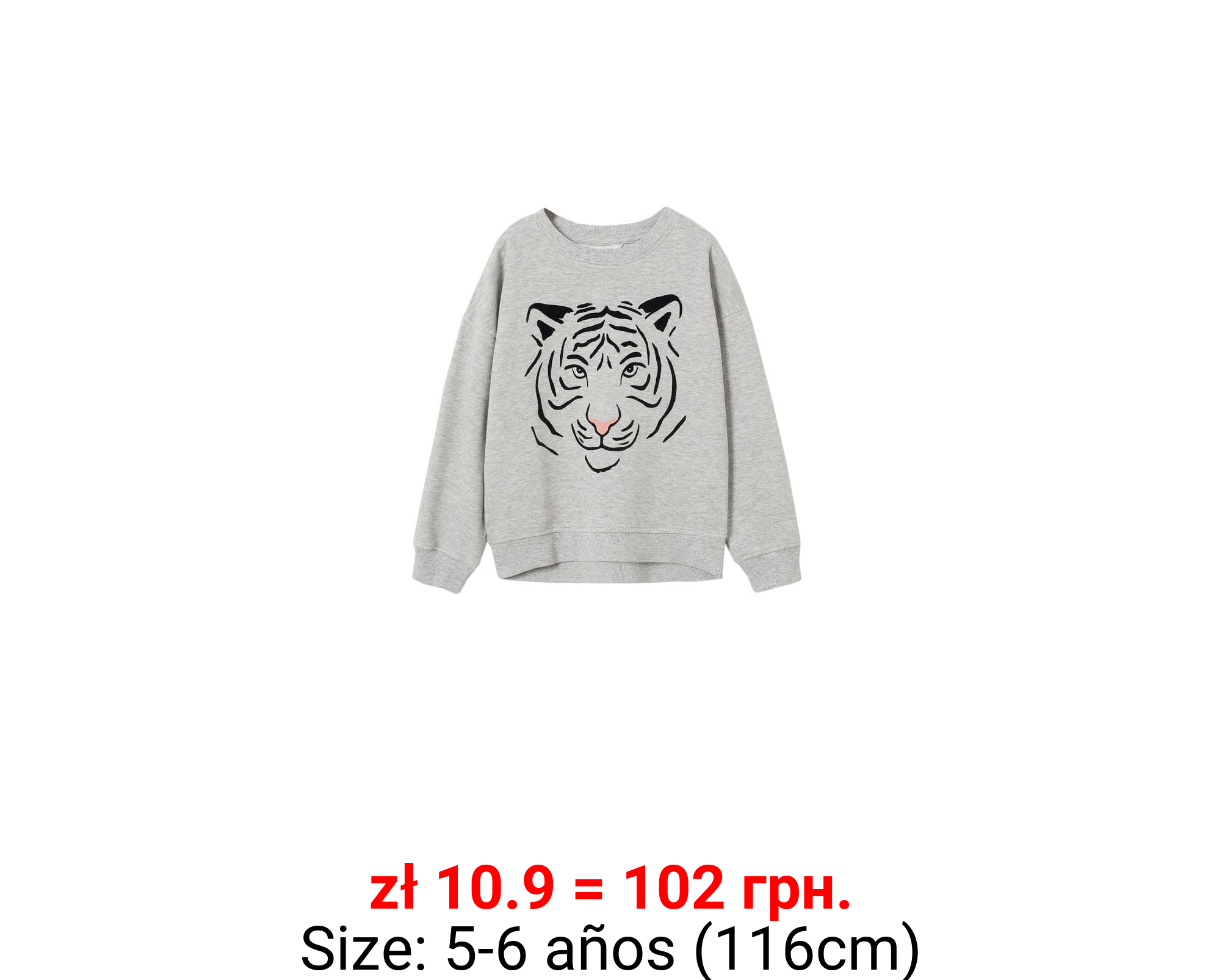 Sudadera algodón estampado