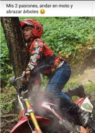 Pasión por las motos y los árboles