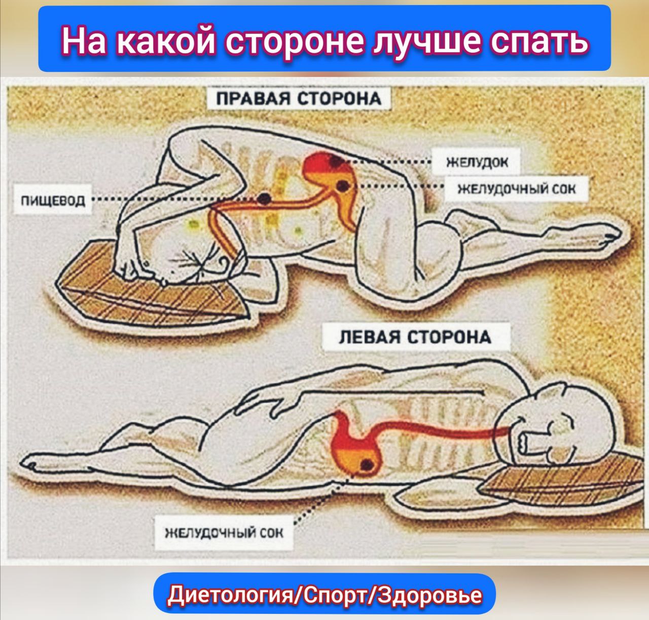 Боль В Желудке Во Время Секса Боль В Желудке Во Время Секса