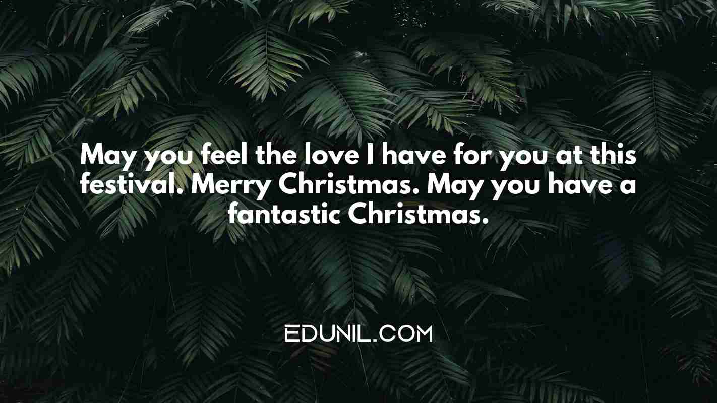 May you feel the love I have for you at this festival. Merry Christmas. May you have a fantastic Christmas. - 
