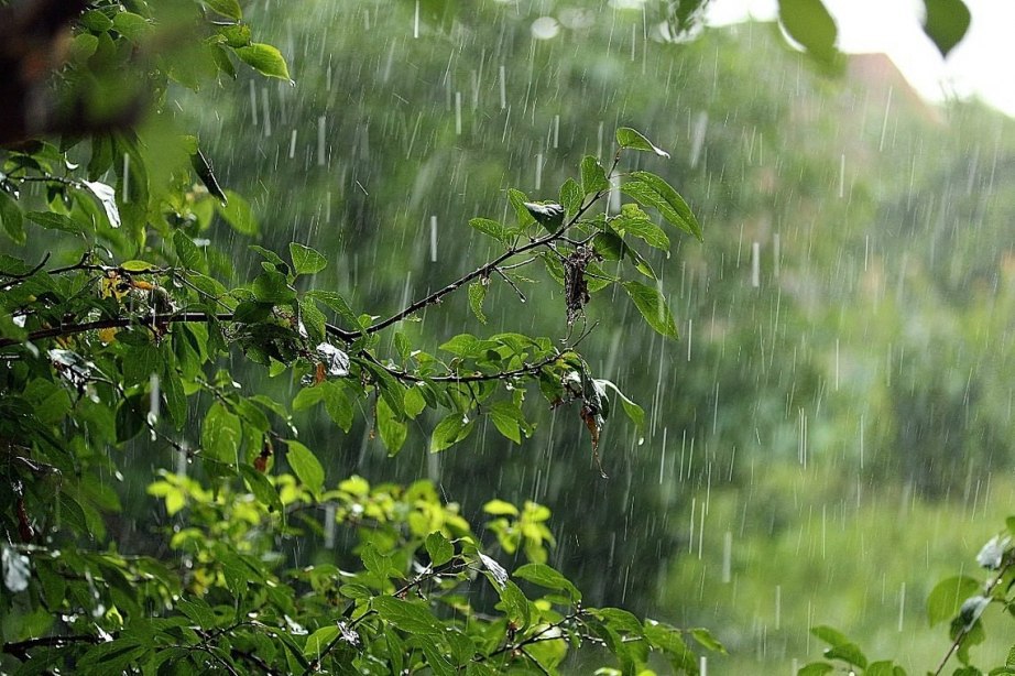 5-6 августа Хабаровский край накроют сильные дожди
