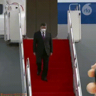 https://telegra.ph/file/bdbb87e7c15c0186d5812.gif