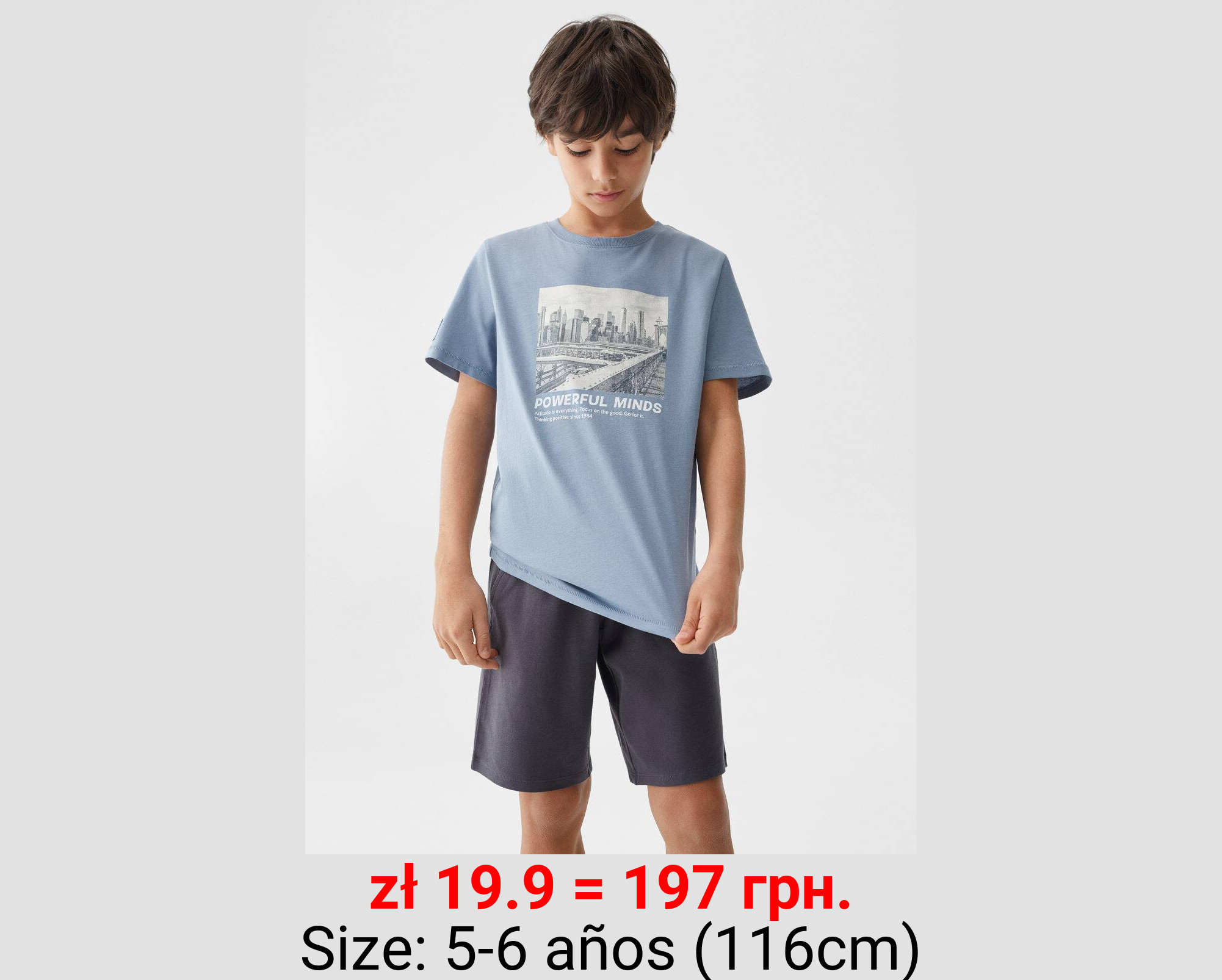 Camiseta algodón estampado