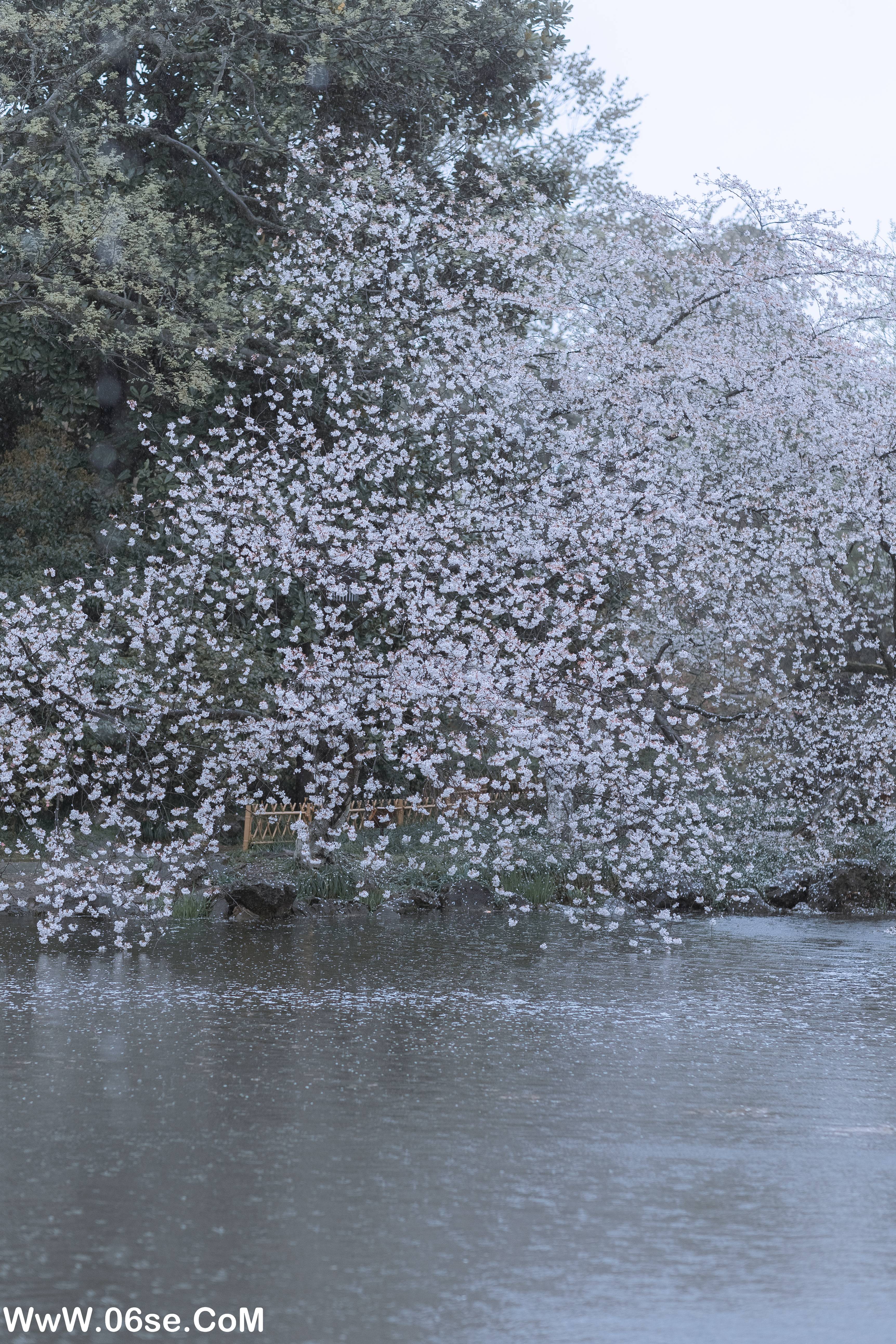 图片[9]-[YITUYU艺图语]2022.05.25 雨樱花 眸小妖[46P-454.3MB]-六色网