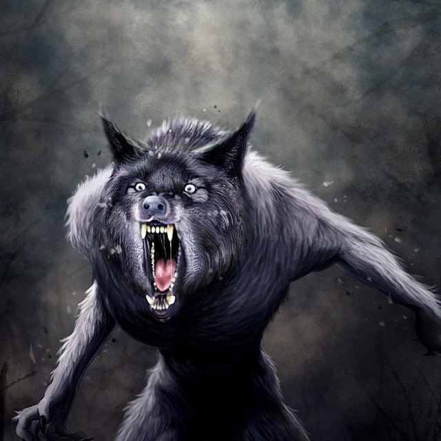 Werewolf Moderator [☮]