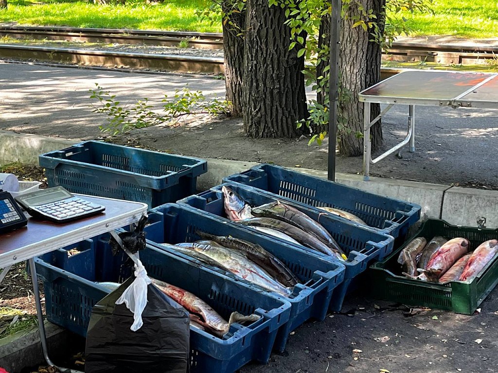 В Хабаровске проходят рейды по несанкционированной торговли рыбой
