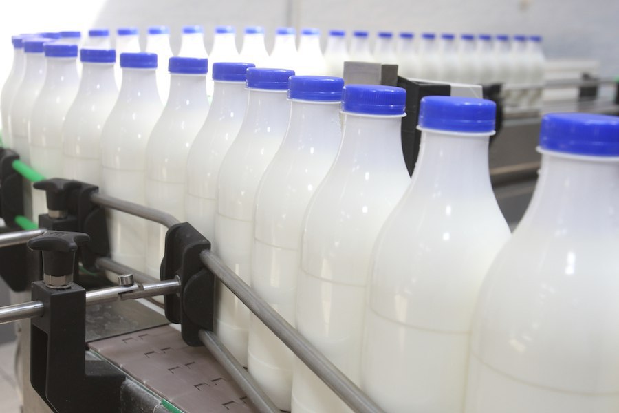 Минсельхоз РФ планирует поддерживать молочную отрасль до выхода на самообеспеченность