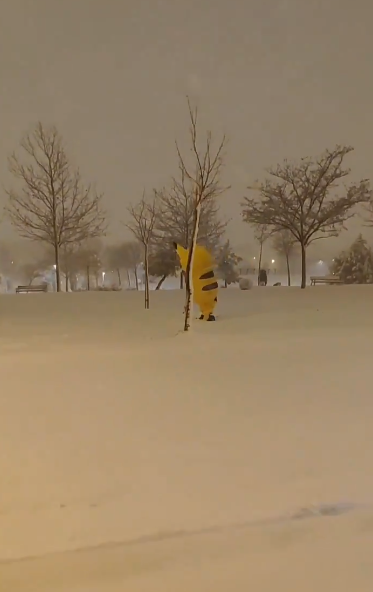 Pikachu en la nieve