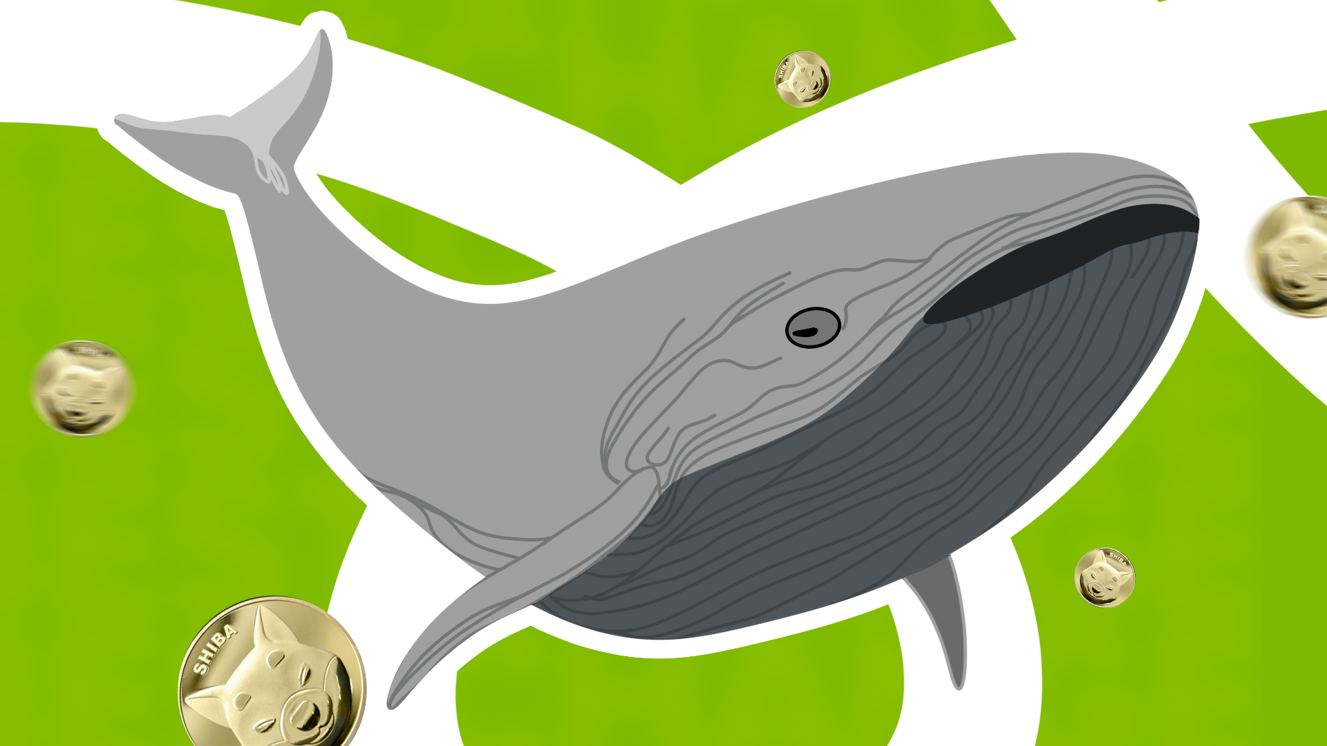 Shiba Inu whales showing some strange behavior – Telegraph