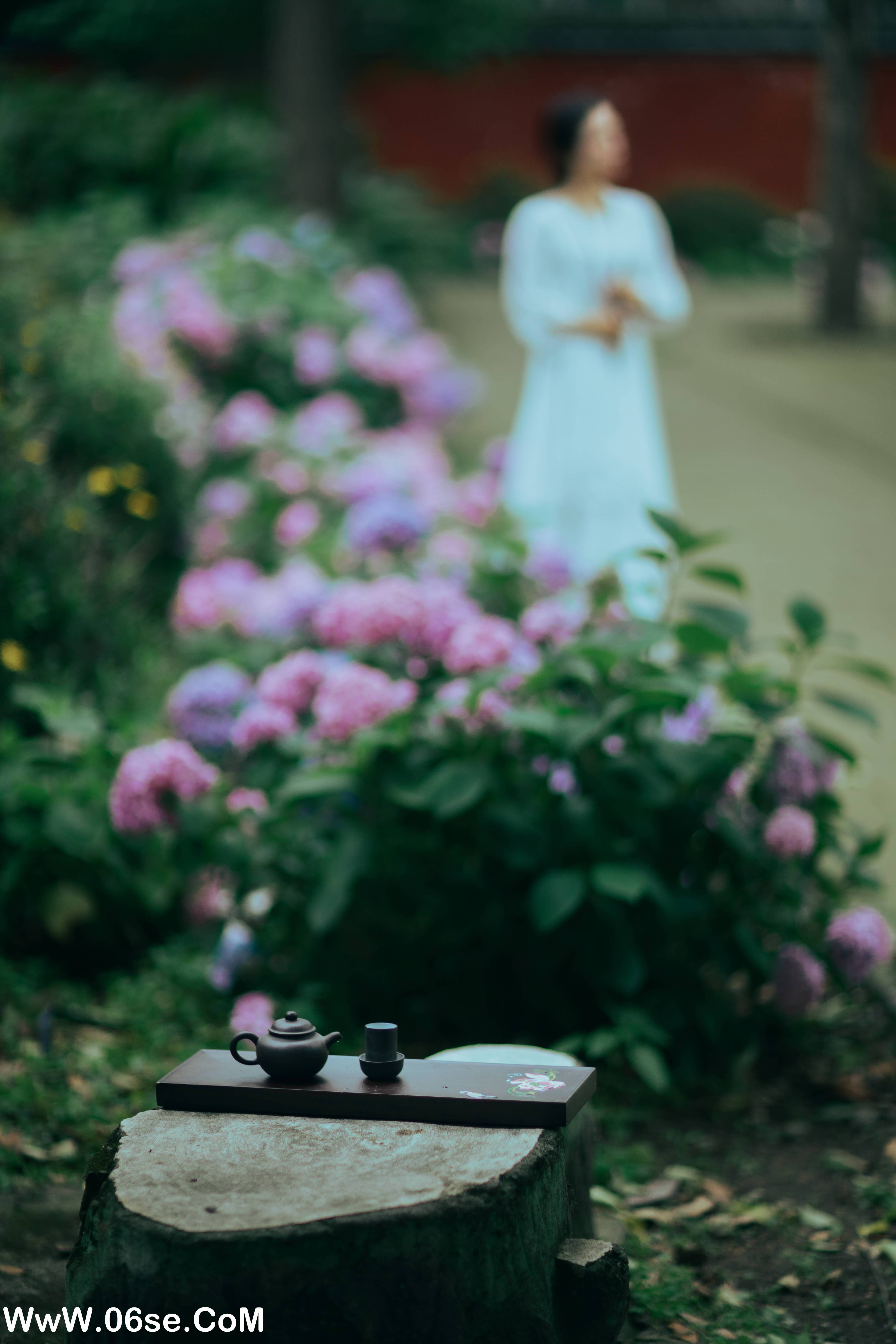 图片[42]-[YITUYU艺图语]2022.07.19 熏风入花林 妙言[45+1P／712MB]-六色网