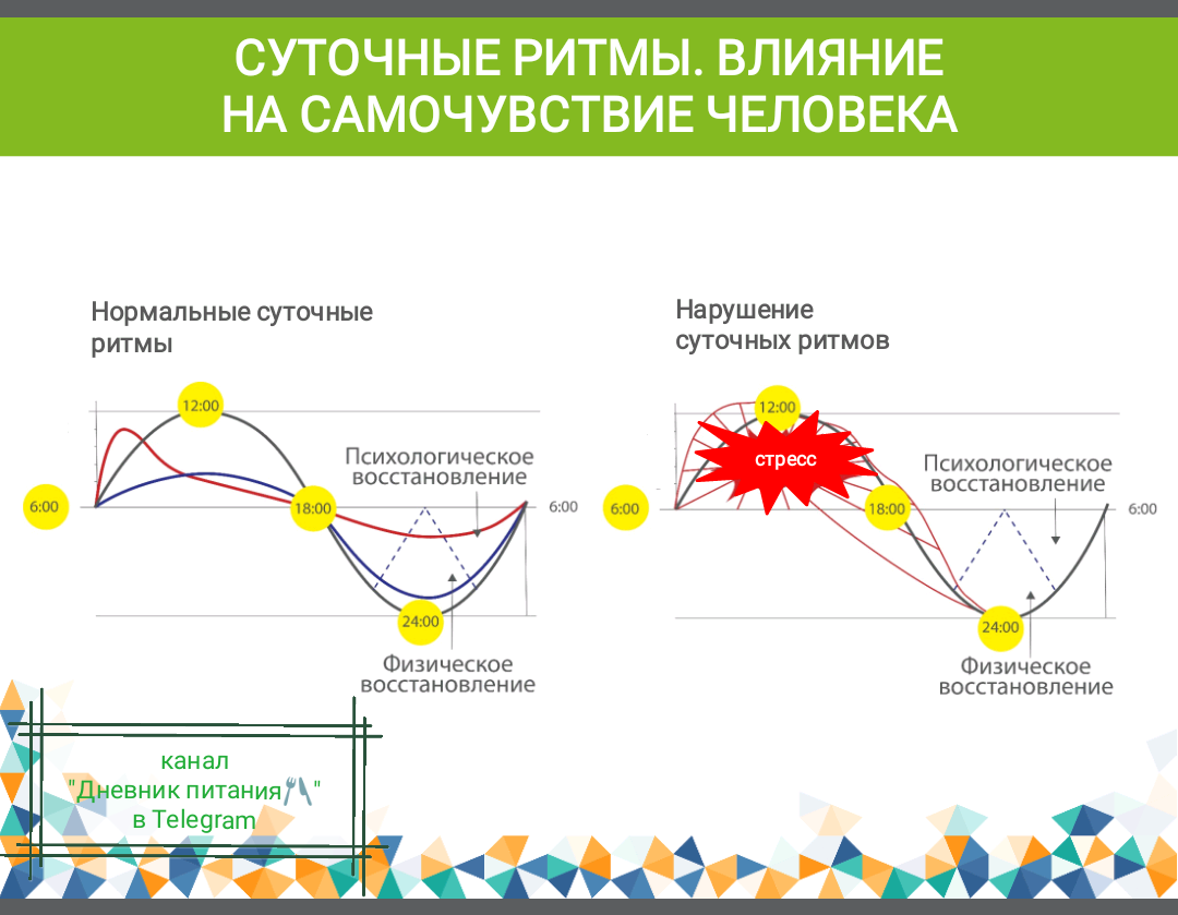 Влияние светового дня на человека