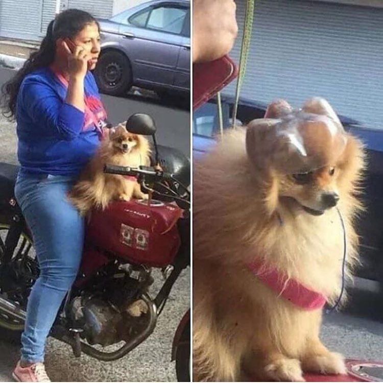 Si vas en moto ponle casco