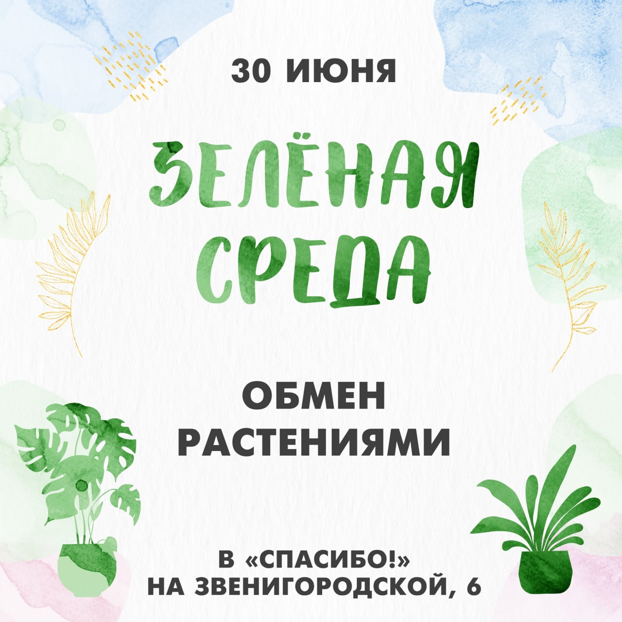 Обмен растениями. Спасибо Звенигородская. Спасибо на Звенигородской 6.