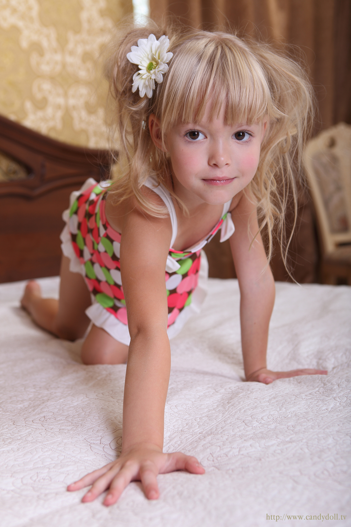 [Image: c0ff2999d1d95db09ae52.jpg]