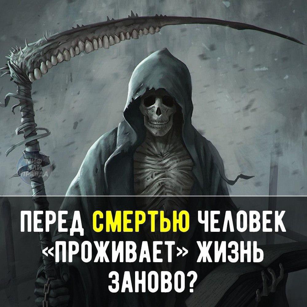 Что дел перед смертью