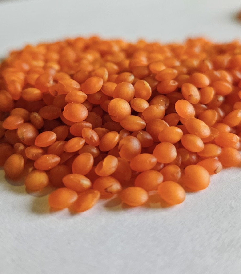 Ласточка – Telegraph