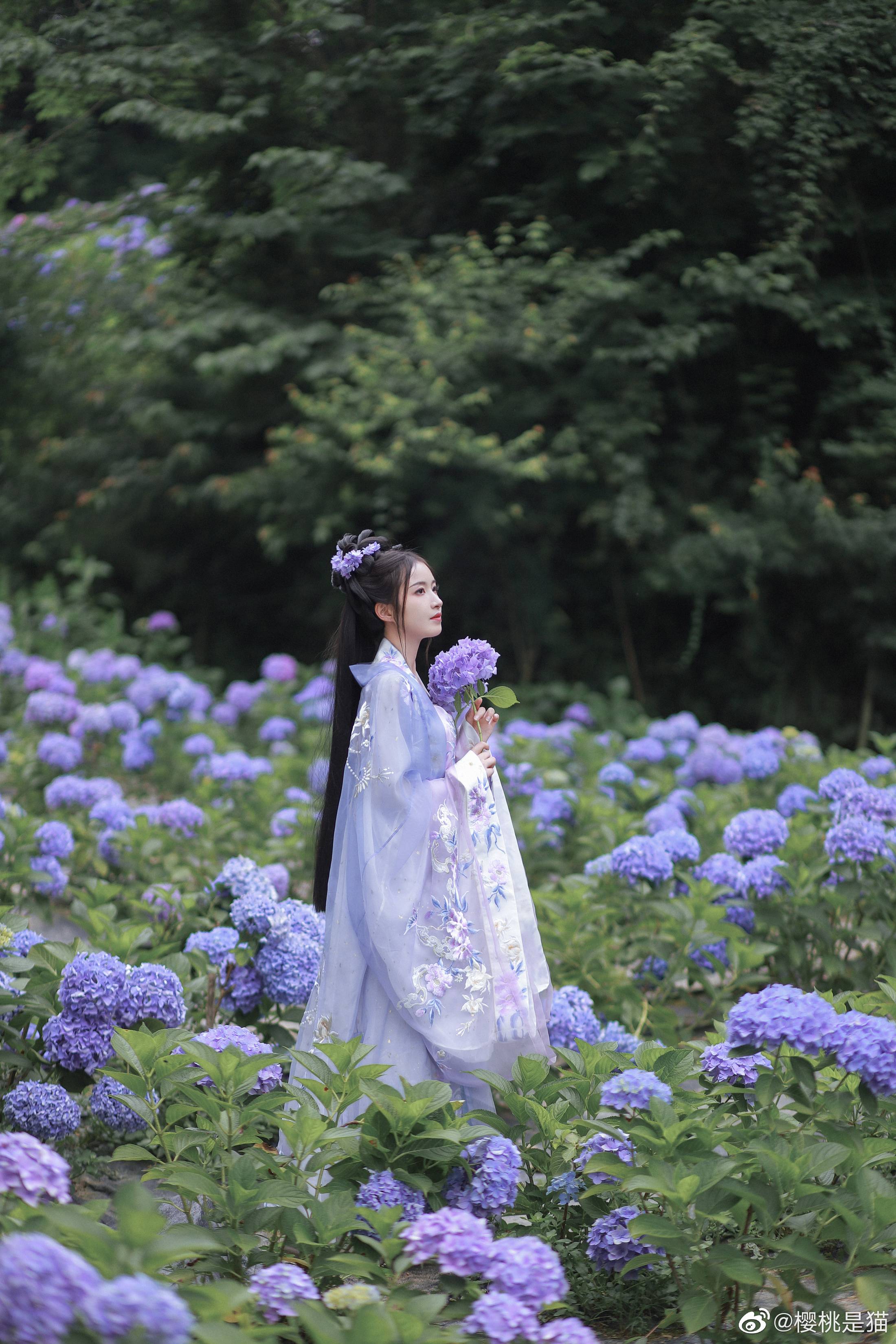 图片[20]-084 迷失幻境系列 – 第082期（国风） [75P-303.73 MB]-六色网