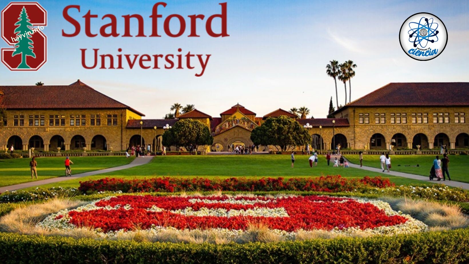 A Stanford Egyetem 6 INGYENES kurzust kínál számodra, amelyekkel gyorsan állást találhatsz