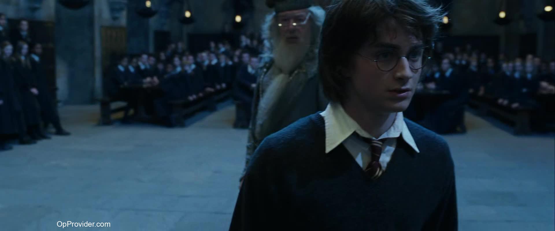 Download Harry Potter The Goblet Of Fire (2005) Full Movie in 480p 720p 1080p