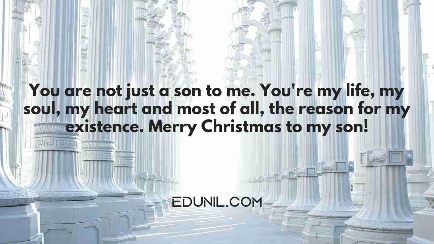 You are not just a son to me. You're my life, my soul, my heart and most of all, the reason for my existence. Merry Christmas to my son! - 
