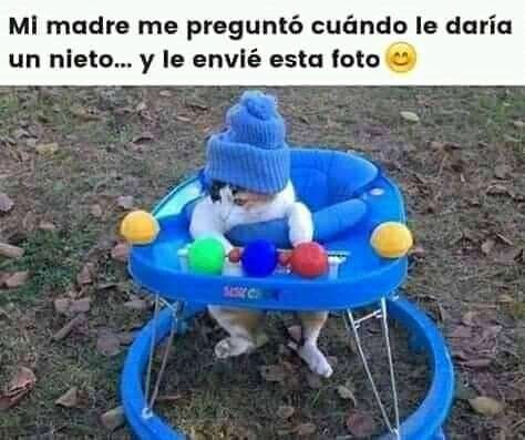 La madre le pidió un nieto
