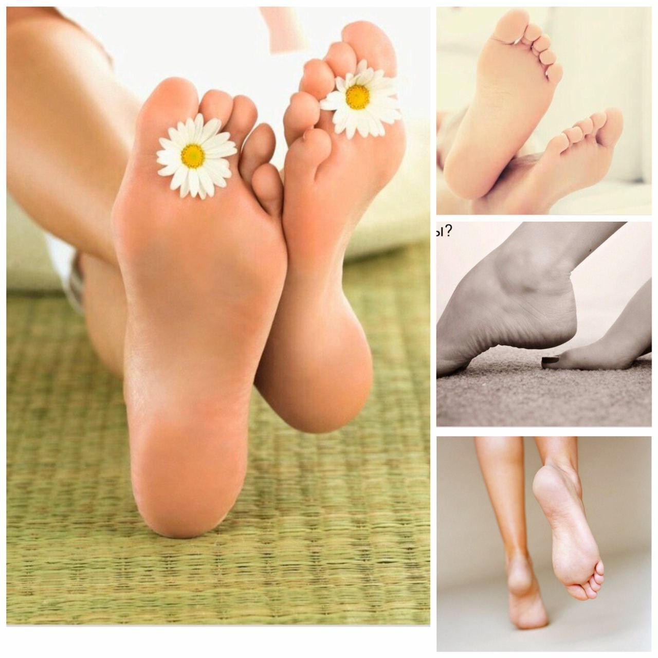 Женские ноги