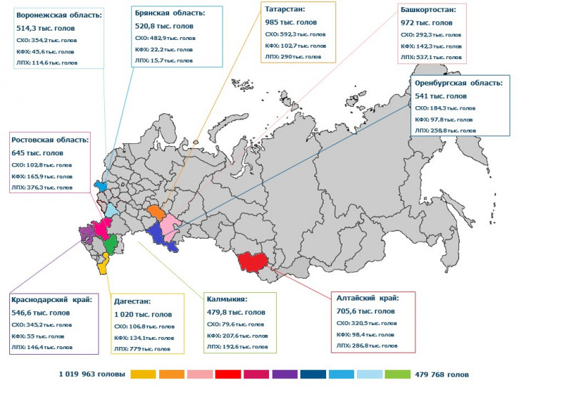 Поголовье крупного рогатого скота в России по регионам. Количество КРС по регионам России. Поголовье крупного рогатого скота на карте России по регионам. Поголовье КРС В России по годам 2021.