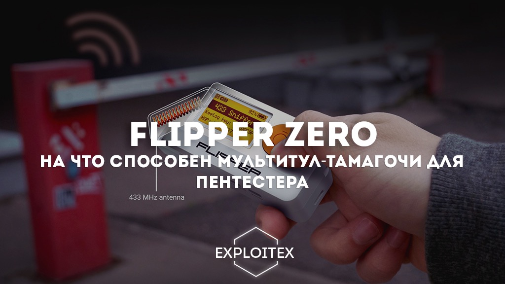 Пентестер вакансии. Мультитул Flipper Zero. Flipper Zero one. Flipper Zero Дельфин. Карта для пентестеров.