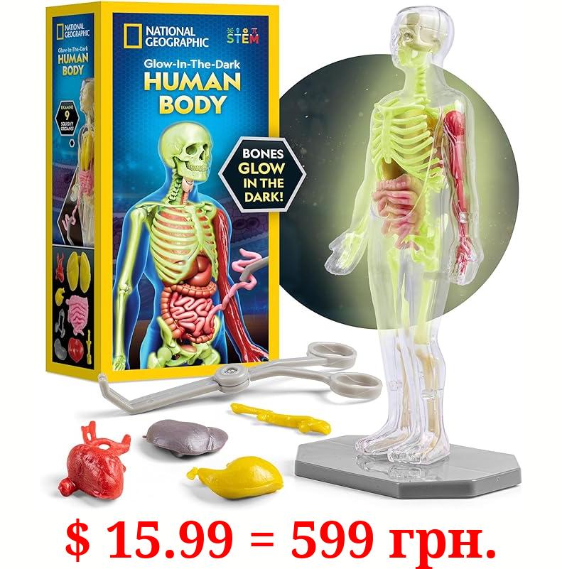 NATIONAL GEOGRAPHIC Human Body Model for Kids That Glows in The Dark - 32-Piece Interactive Anatomy Model with Bones, Organs, Muscles, Stand, Forceps & ID Chart, Anatomy and Physiology Study Tools