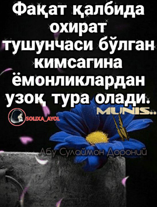 Xolam bilan jinsiy aloqa (uy qurilishi videosi)