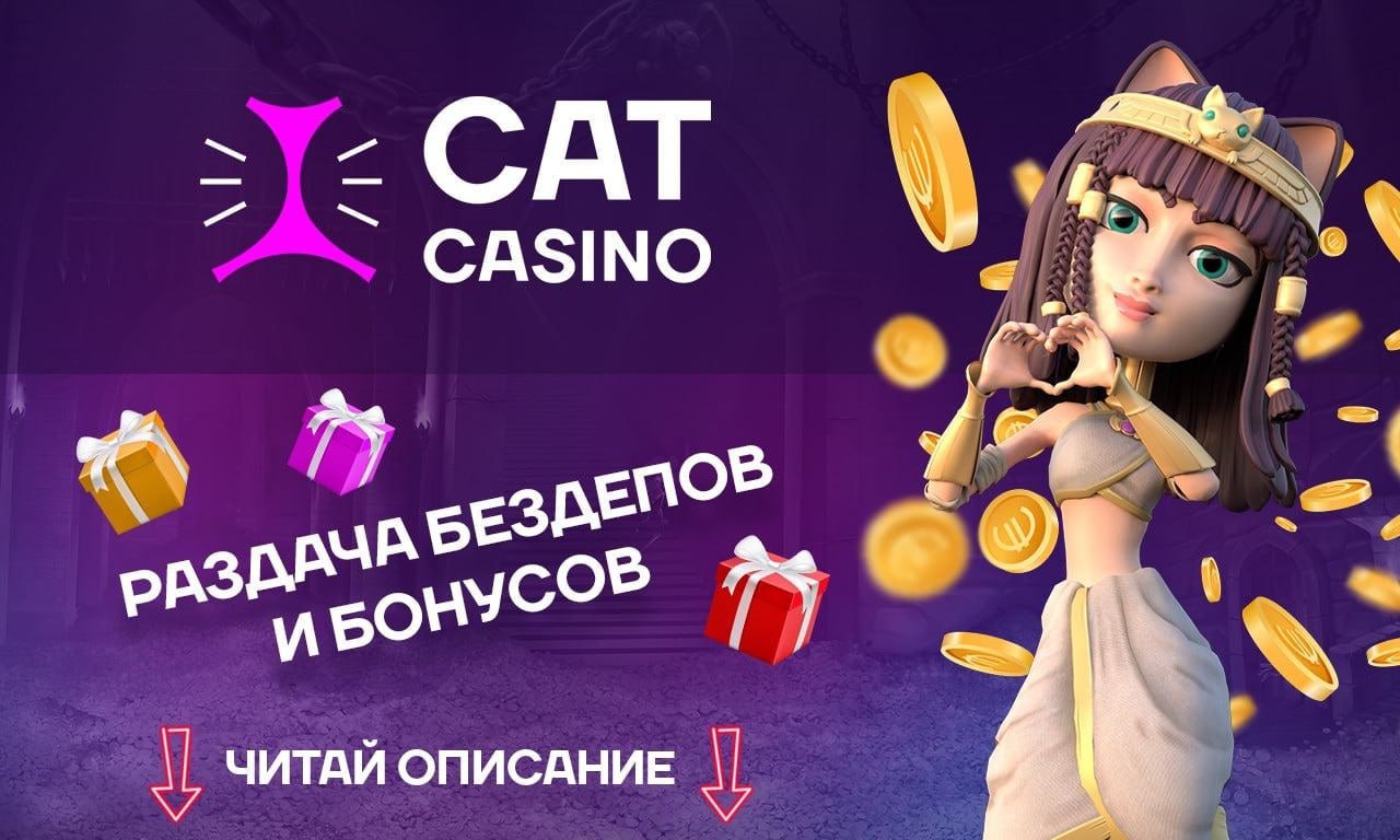 Бонус код cat casino 2024 catcasino2 quest