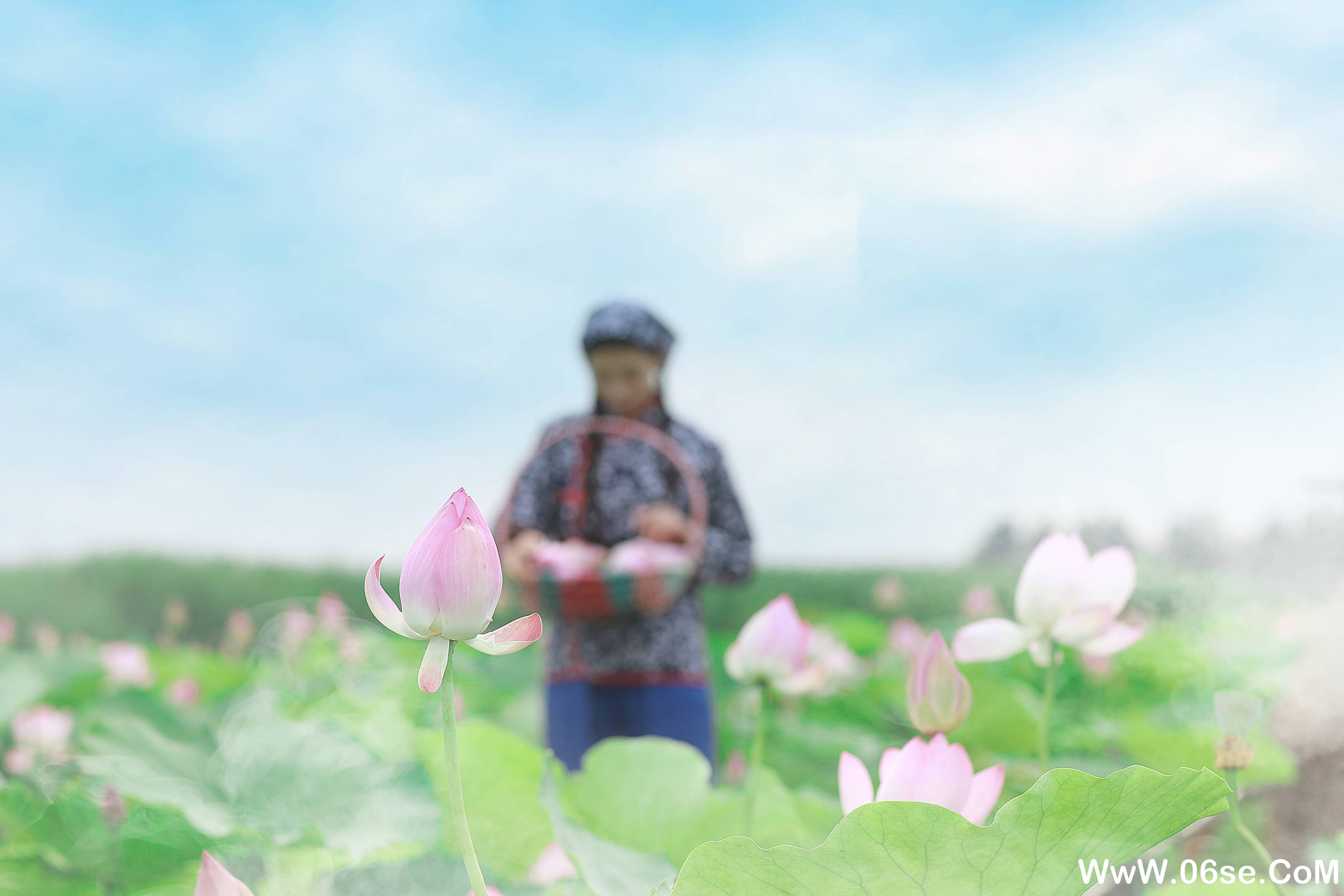 图片[18]-[YITUYU艺图语]2021.11.03 采荷 孔荻[30+1P／317MB]-六色网