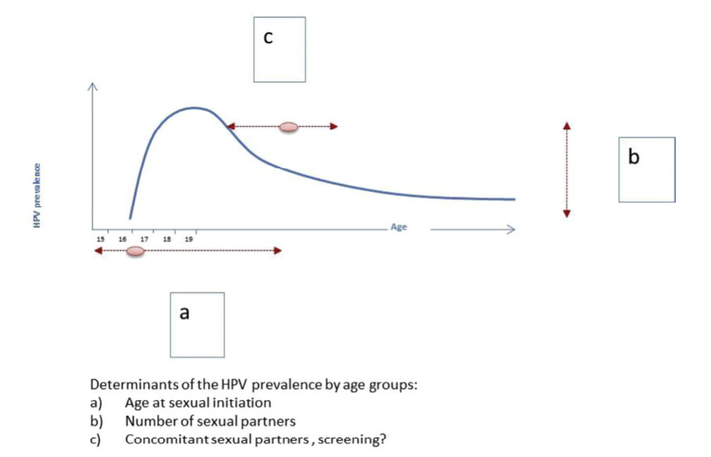 О генитальном ВПЧ – Telegraph