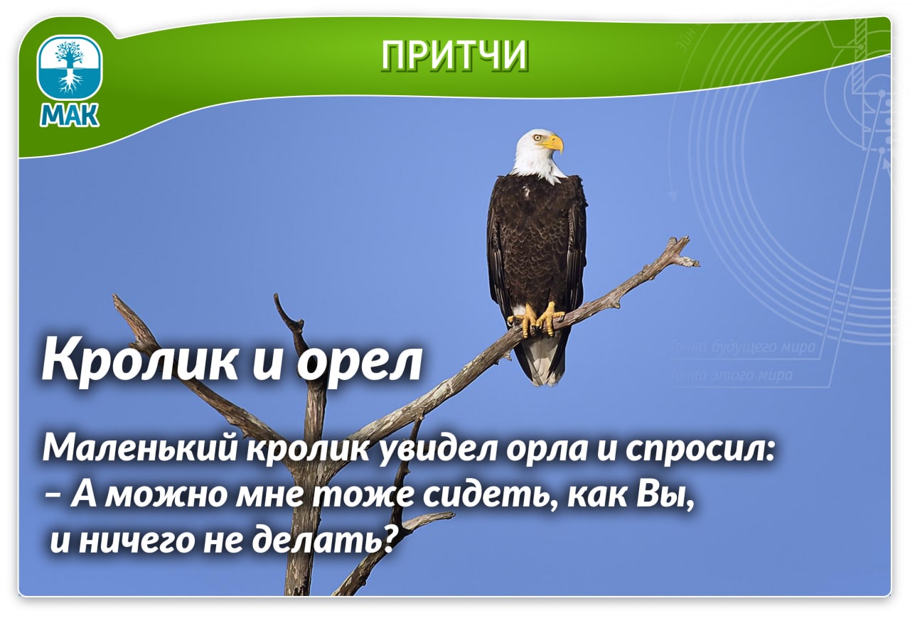 Каналы орла. Притча про орла и кролика. Орел сидел на дереве отдыхал. Орел и кролик. Притча Орел на дереве и кролик.