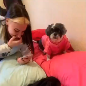 El perro que sonríe al selfie