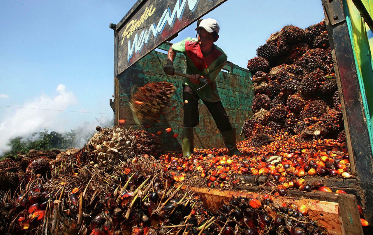 Индия прекратила бойкот пальмового масла из Малайзии