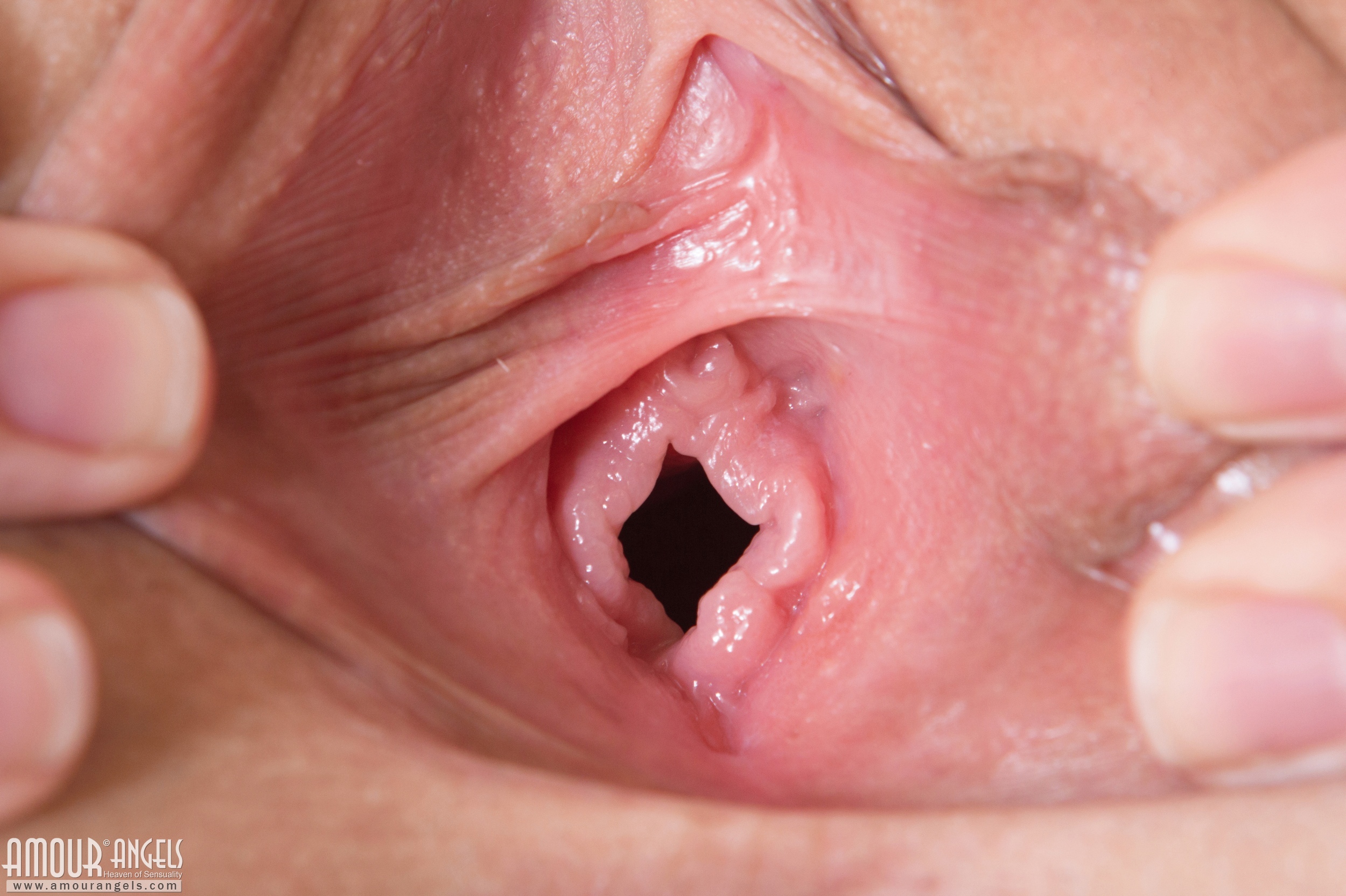 [Image: c51fbe0456aaf01f9cd66.jpg]