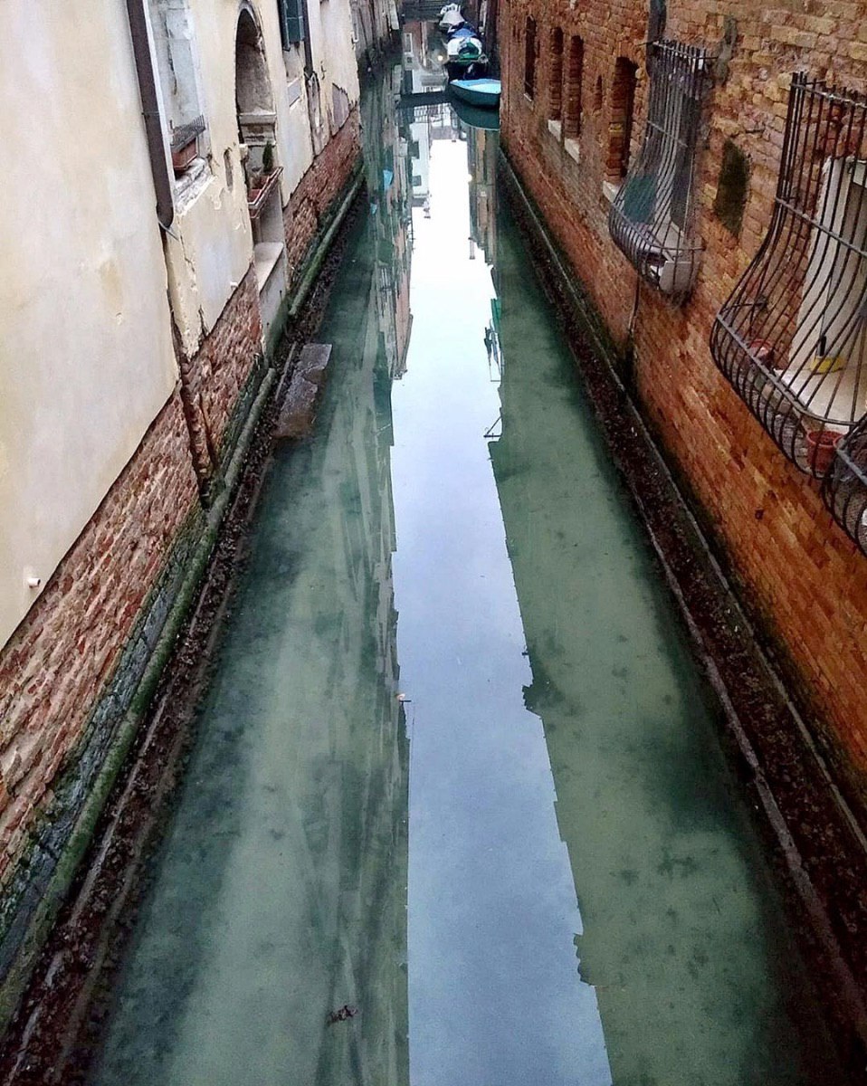 уровень воды в венеции