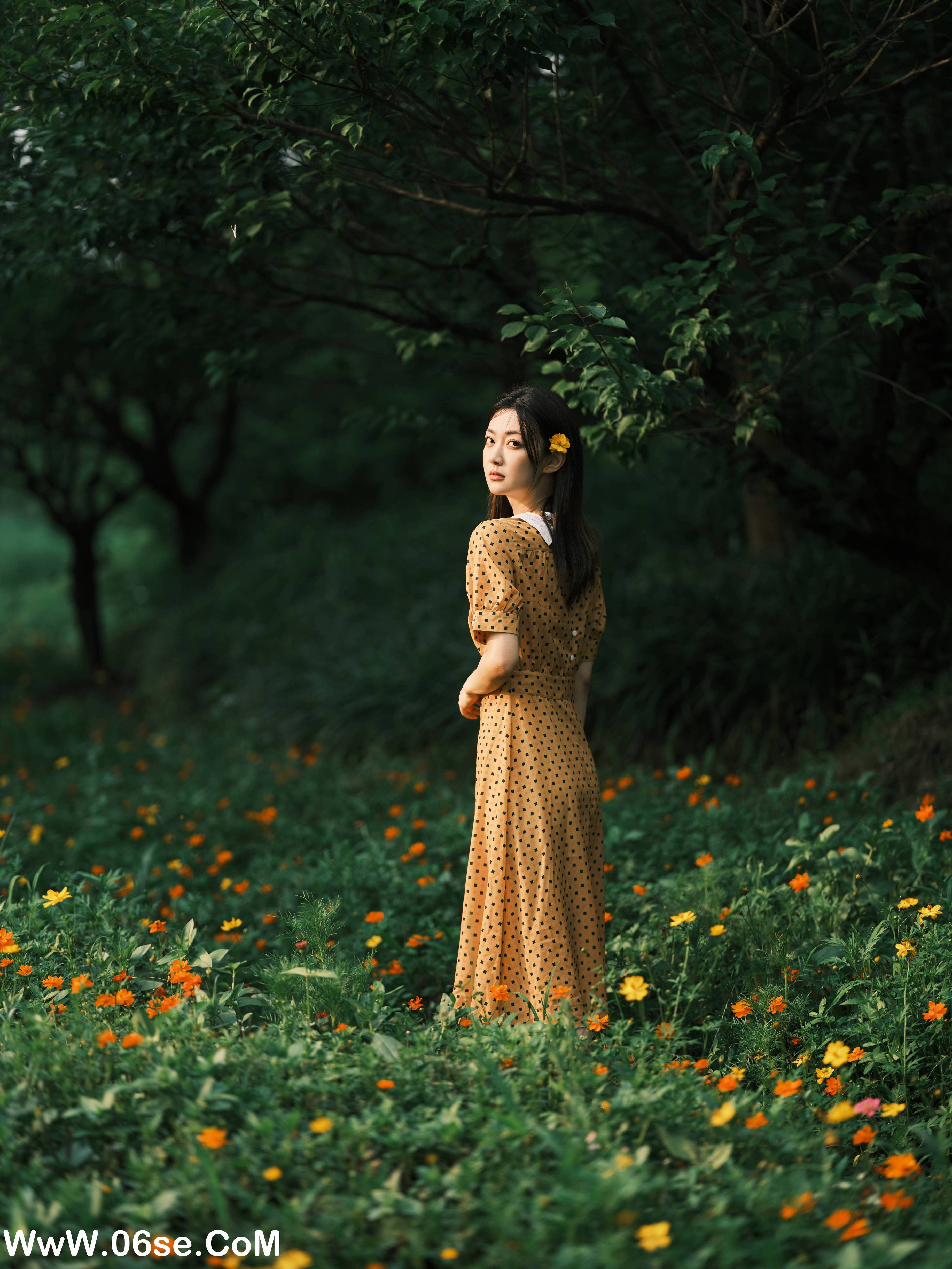 图片[7]-[YITUYU艺图语]2022.08.08 硫华菊&柳叶马鞭草-是夏天的味道呀！ 飞鸟咕咕-[43+1P／1.08GB]-六色网