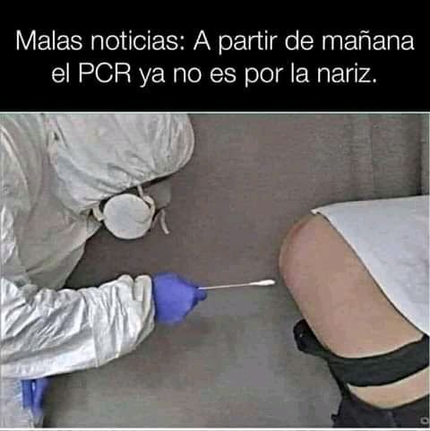 Primera imágenes de la pcr por el culo