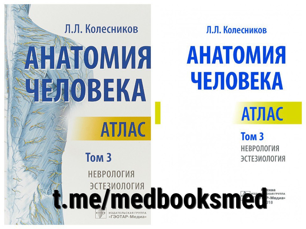 Атлас анатомии 3 тома. Атлас анатомии Колесников. Колесников анатомия человека. Анатомия человека Колесников л.л.. Атлас по анатомии Колесникова.