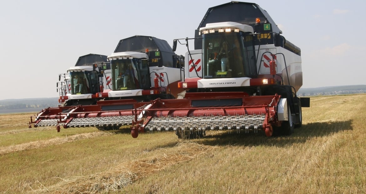 Рентабельность производства пшеницы в России снизилась впервые за последние годы